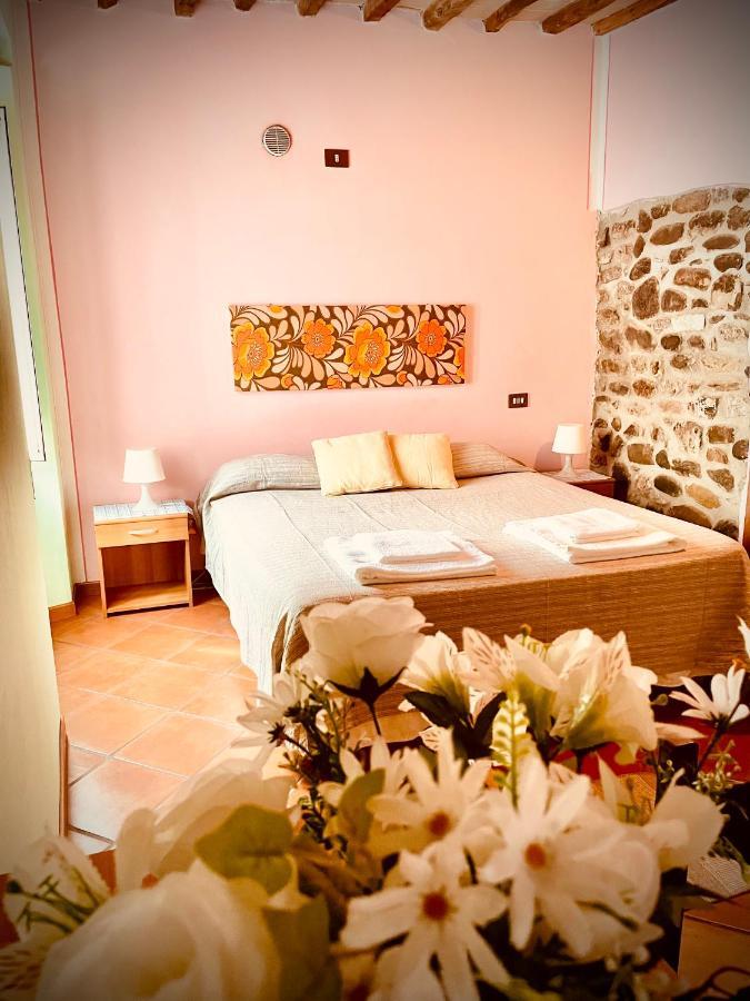 Hotel In Castello Gallicano Esterno foto